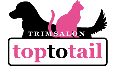 TopToTail