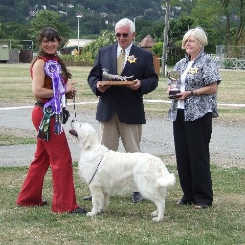 ringcraft (18)